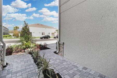 New construction Townhouse house 19392 Great Intention Way, Lutz, FL 33558 - photo 60 60