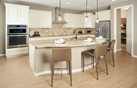 Parkside at Anthem at Merrill Ranch by Pulte Homes in Florence - photo 41