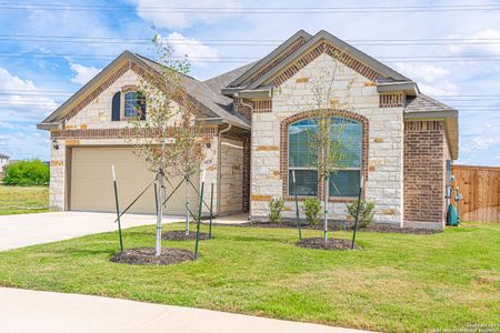 New construction Single-Family house 4835 Park Leaf, Schertz, TX 78124  The Carolina- photo