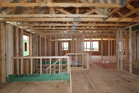 New construction Single-Family house 31840 Sapna Chime Drive, Wesley Chapel, FL 33545 Casanova- photo 20 20