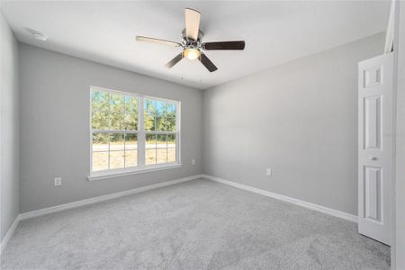 New construction Single-Family house 13390 Sw 87Th Street, Dunnellon, FL 34432 - photo 12 12