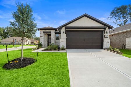 Towne Lake by Caldwell Homes in Cypress - photo 6 6