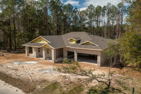New construction Single-Family house 4462 Majestic Hills Loop, Brooksville, FL 34601 - photo 11 11