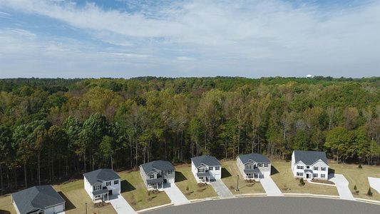 New construction Single-Family house 266 Friendship Oak Way, Hampton, GA 30228 Somerset- photo 28 28