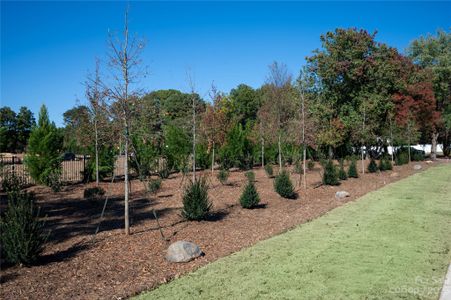 Extensive landscaping has been installed