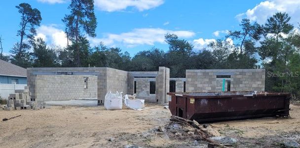New construction Single-Family house 3388 Sw 165Th Loop, Ocala, FL 34473 - photo