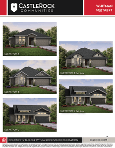 New construction Single-Family house 1319 Pleasant Springs Court, Montgomery, TX 77316 - photo 5 5
