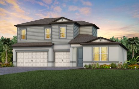 New construction Single-Family house Simmons Ranch Court, Riverview, FL 33578 - photo 21 21