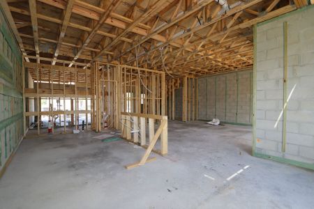 New construction Single-Family house 2802 Misty Marble Drive, Zephyrhills, FL 33540 Marina- photo 14 14