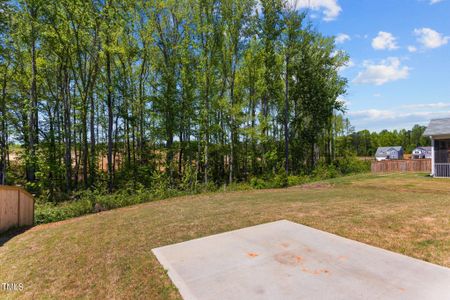 New construction Single-Family house 80 Silent Brook Trail, Franklinton, NC 27525 Middleton- photo 41 41