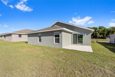 New construction Single-Family house 11421 Sw 175Th Court, Dunnellon, FL 34432 - photo 16 16