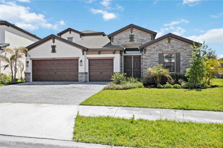 New construction Single-Family house 9222 Isabella Circle, Parrish, FL 34219 - photo 47 47