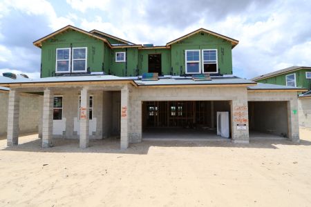 New construction Single-Family house 2486 Clary Sage Drive, Spring Hill, FL 34609 Santa Monica- photo 62 62
