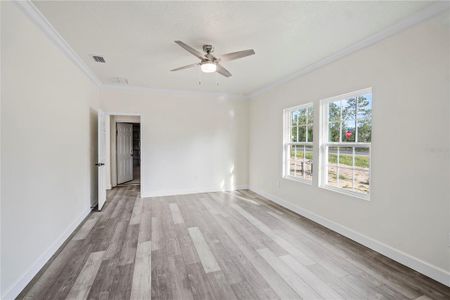 New construction Single-Family house 951 Ne 150Th Avenue, Williston, FL 32696 - photo 12 12