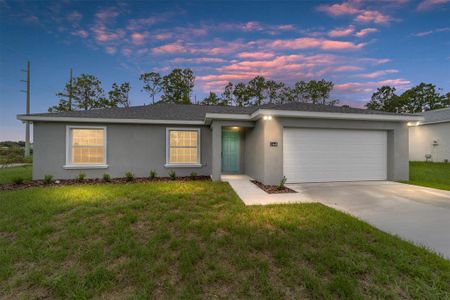 New construction Single-Family house 13448 Sw 49Th Avenue, Ocala, FL 34473 - photo 0