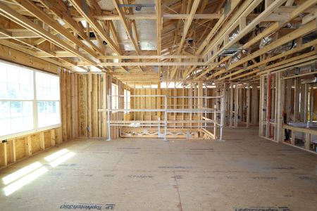 New construction Single-Family house 2522 Sunny Pebble Loop, Zephyrhills, FL 33540 Mira Lago- photo 58 58