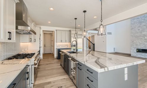 Luxe at The Canyons by Shea Homes in Castle Pines - photo 29 29