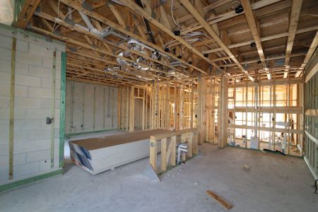 New construction Single-Family house 5238 Currant Street, Lakeland, FL 33811 Marina- photo 36 36