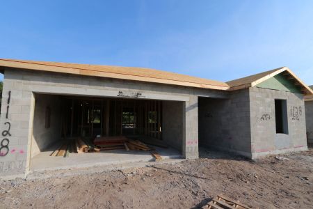 New construction Single-Family house 5312 Patano Loop, Palmetto, FL 34221 Ventura - Single Family Smart Series- photo 3 3