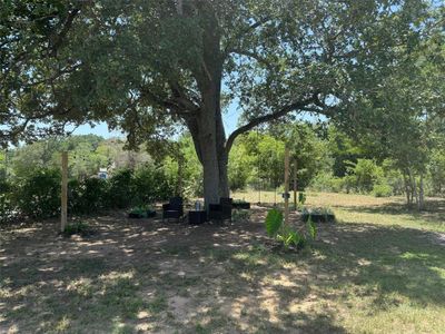 New construction Manufactured Home house 123 Casen St, Dale, TX 78616 - photo 25 25