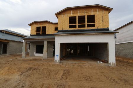 New construction Single-Family house 12114 Hilltop Farms Drive, Dade City, FL 33525 Alenza- photo 21 21