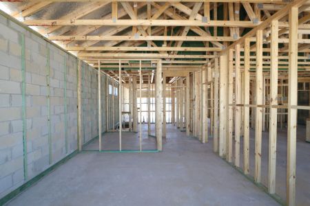 New construction Single-Family house 31835 Sapna Chime Drive, Wesley Chapel, FL 33545 Salinas- photo 10 10