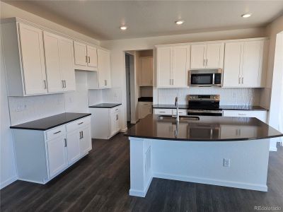 New construction Single-Family house 16491 W 93Rd Avenue, Arvada, CO 80007 Granby- photo 15 15