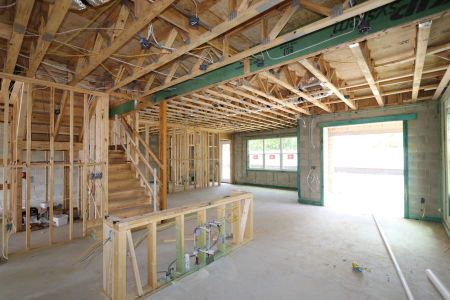 New construction Single-Family house 12078 Hilltop Farms Drive, Dade City, FL 33525 Mira Lago- photo 13 13
