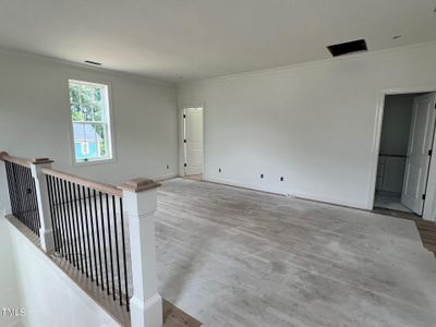 New construction Single-Family house 1028 Whitehall Circle, Durham, NC 27713 Trinity French Colonial w/ Basement- photo 32 32