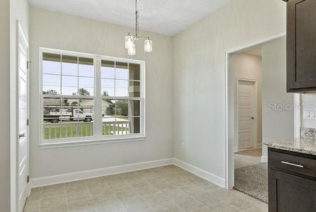 New construction Single-Family house 4003 Old Canal Street, Leesburg, FL 34748 - photo 7 7