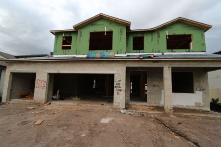 New construction Single-Family house 3024 King Fern Drive, Wimauma, FL 33598 Mira Lago- photo 13 13