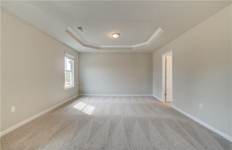 New construction Single-Family house 123 Crabswood Drive, Mcdonough, GA 30253 Everest III- photo 26 26