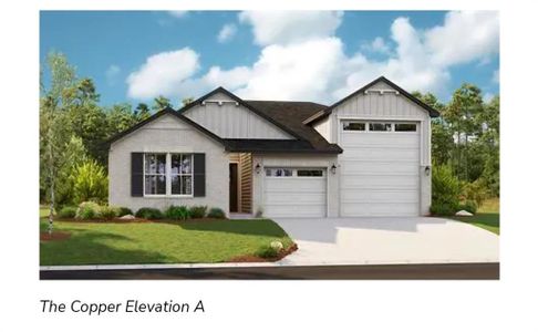 New construction Single-Family house 216 Silverton Ln, Cedar Creek, TX 78612 Copper- photo 0 0