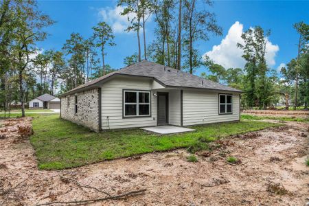 New construction Single-Family house 2810 Parthenon Place, New Caney, TX 77357 - photo 17 17