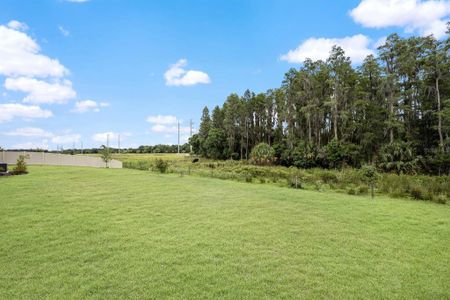 New construction Single-Family house 14519 Woodland Spur Drive, Lithia, FL 33547 - photo 33 33