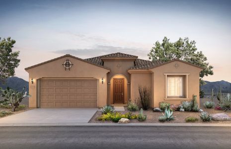 New construction Single-Family house 32486 133rd Lane, Peoria, AZ 85383 - photo 0