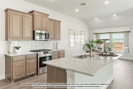 New construction Single-Family house 129 Red Cedar Court, Balch Springs, TX 75181 - photo 14 14