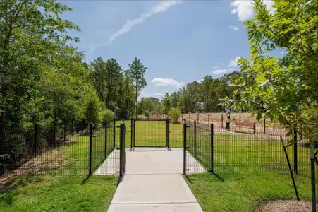 New construction Single-Family house 308 Gray Wolf Drive, Huntsville, TX 77320 The Augustine- photo 25 25