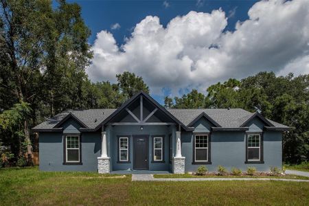 New construction Single-Family house 25829 Timuquana Drive, Sorrento, FL 32776 - photo 0