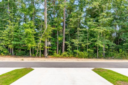 New construction Townhouse house 187 O'Malley Drive, Summerville, SC 29483 - photo 23 23