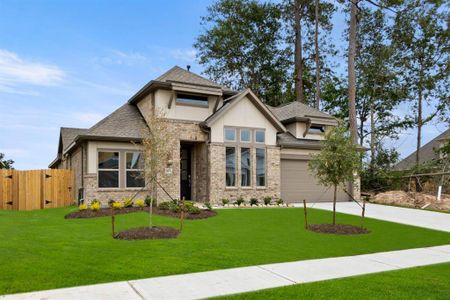 The Meadows at Imperial Oaks 60' - Sec. 17 by Coventry Homes in Conroe - photo 6 6
