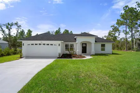 New construction Single-Family house 15191 Pomp Parkway, Weeki Wachee, FL 34614 - photo 0