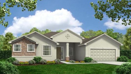 New construction Single-Family house Dismuke Drive, Lakeland, FL 33812 - photo 2 2