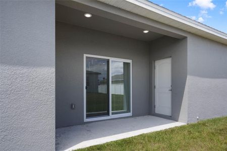 New construction Single-Family house 2328 Rock Drive, Kissimmee, FL 34759 - photo 28 28