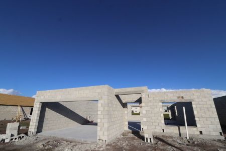 New construction Single-Family house 2974 Marine Grass Drive, Wimauma, FL 33598 Alenza- photo 9 9