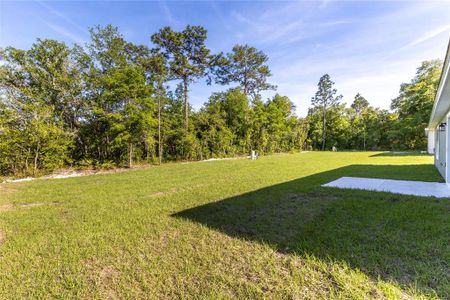 New construction Single-Family house 15342 Sw 50Th Court Road, Ocala, FL 34473 - photo 51 51