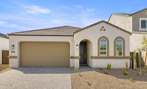 New construction Single-Family house 1741 E Questa Drive, Phoenix, AZ 85024 Dove- photo 20 20