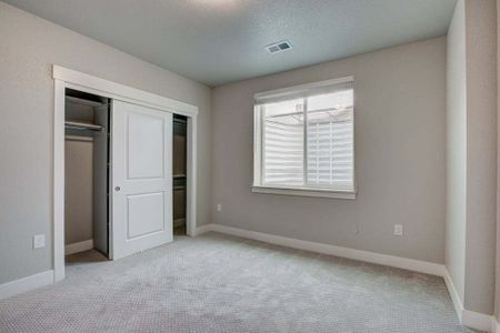 New construction Townhouse house 6248 Vernazza Way, Windsor, CO 80550 - photo 159 159