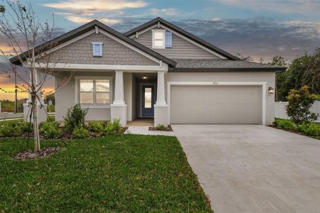 New construction Single-Family house 4931 Emerald Acres Way, Zephyrhills, FL 33541 Sweetwater- photo 1 1