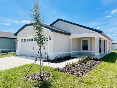 New construction Single-Family house 3817 Corsican Place, Lake Alfred, FL 33850 - photo